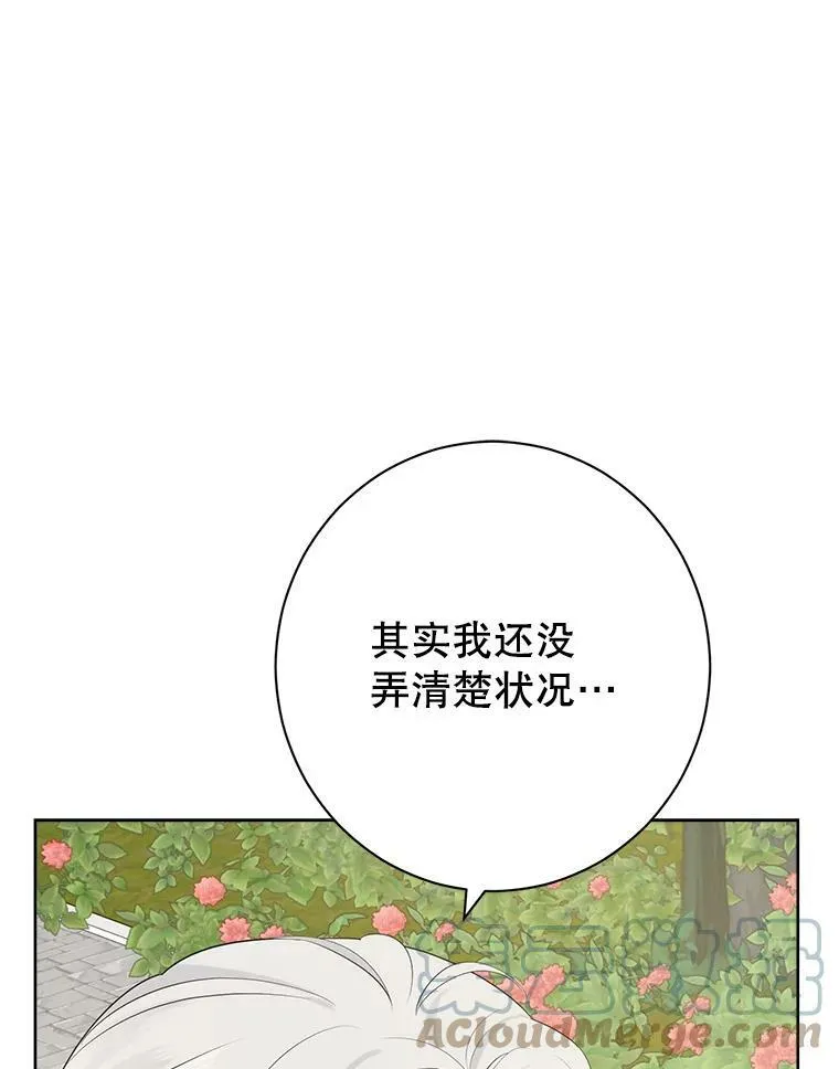 48.精灵石的秘密？ 第21页