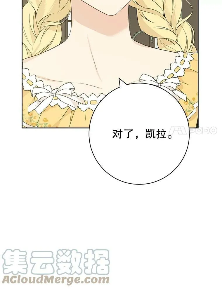 48.精灵石的秘密？ 第41页