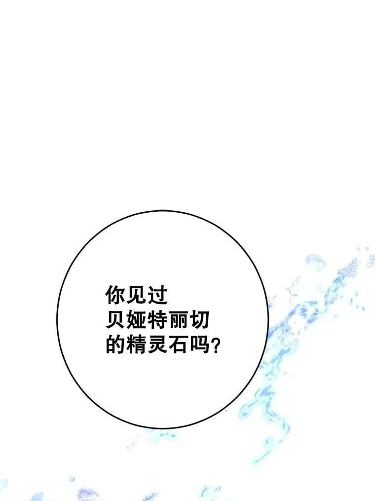 48.精灵石的秘密？ 第42页