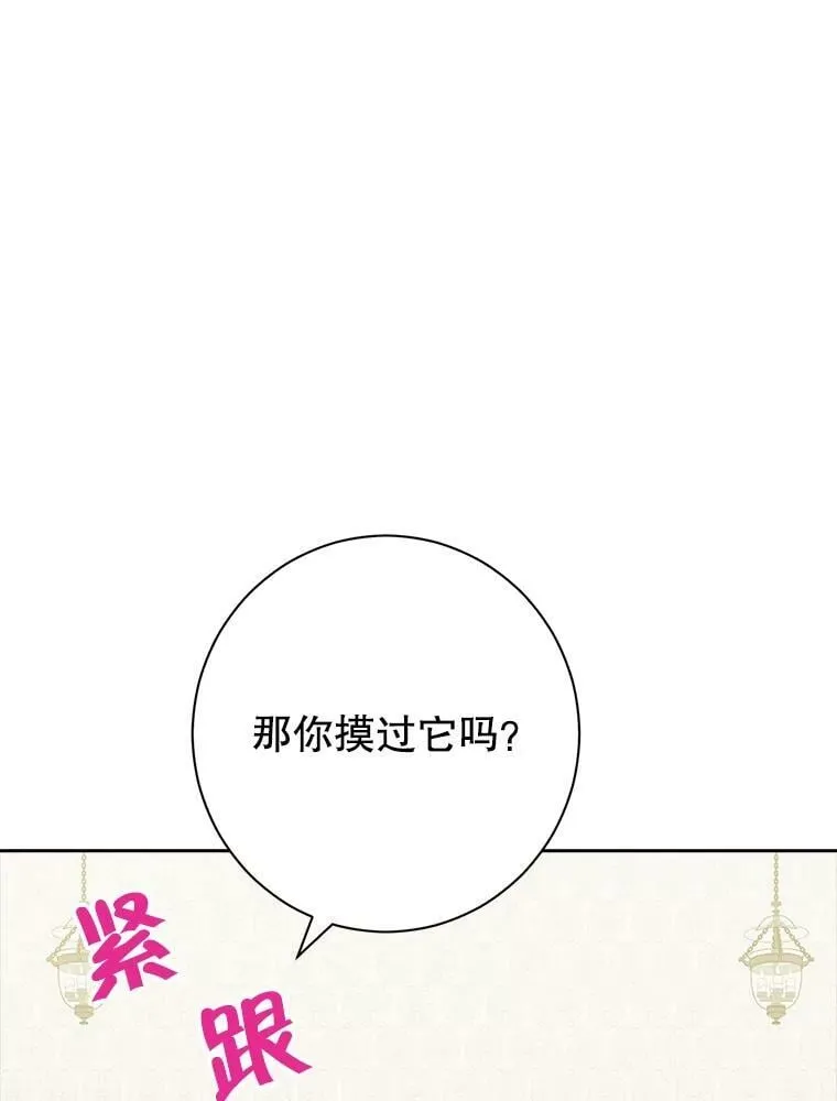 48.精灵石的秘密？ 第62页