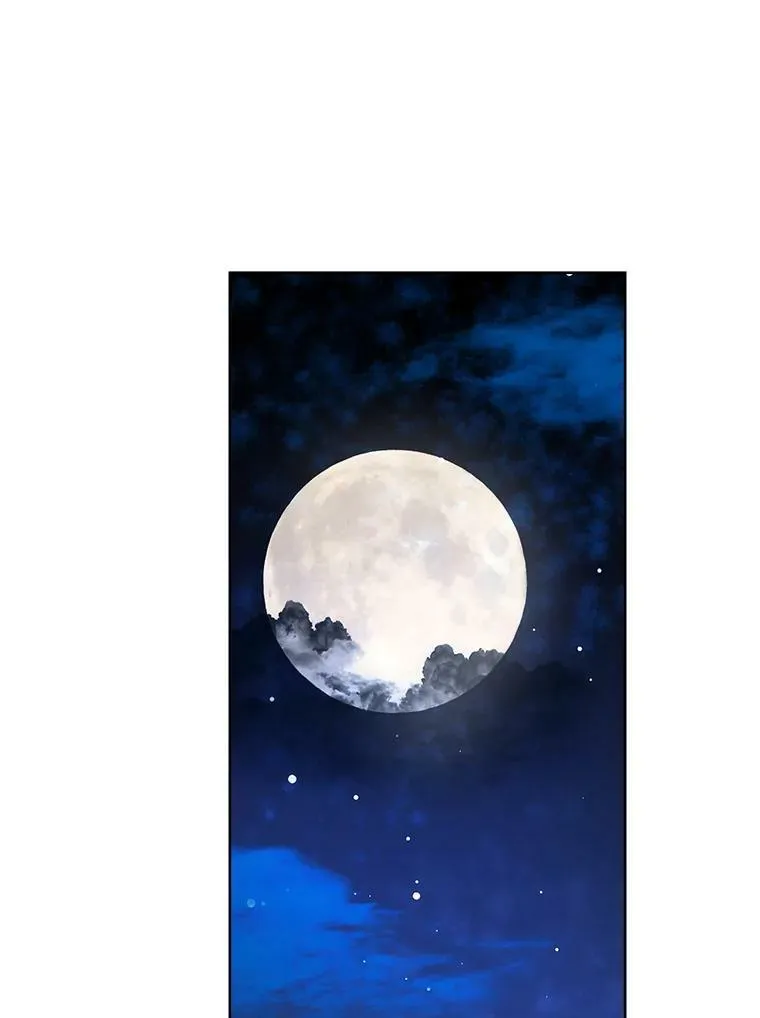 48.精灵石的秘密？ 第104页