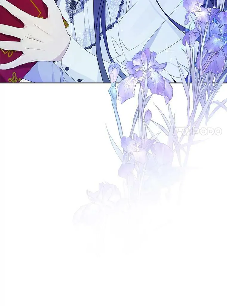 48.精灵石的秘密？ 第115页