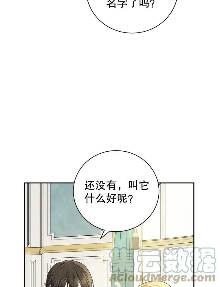 70.加油，副团长！ 第65页