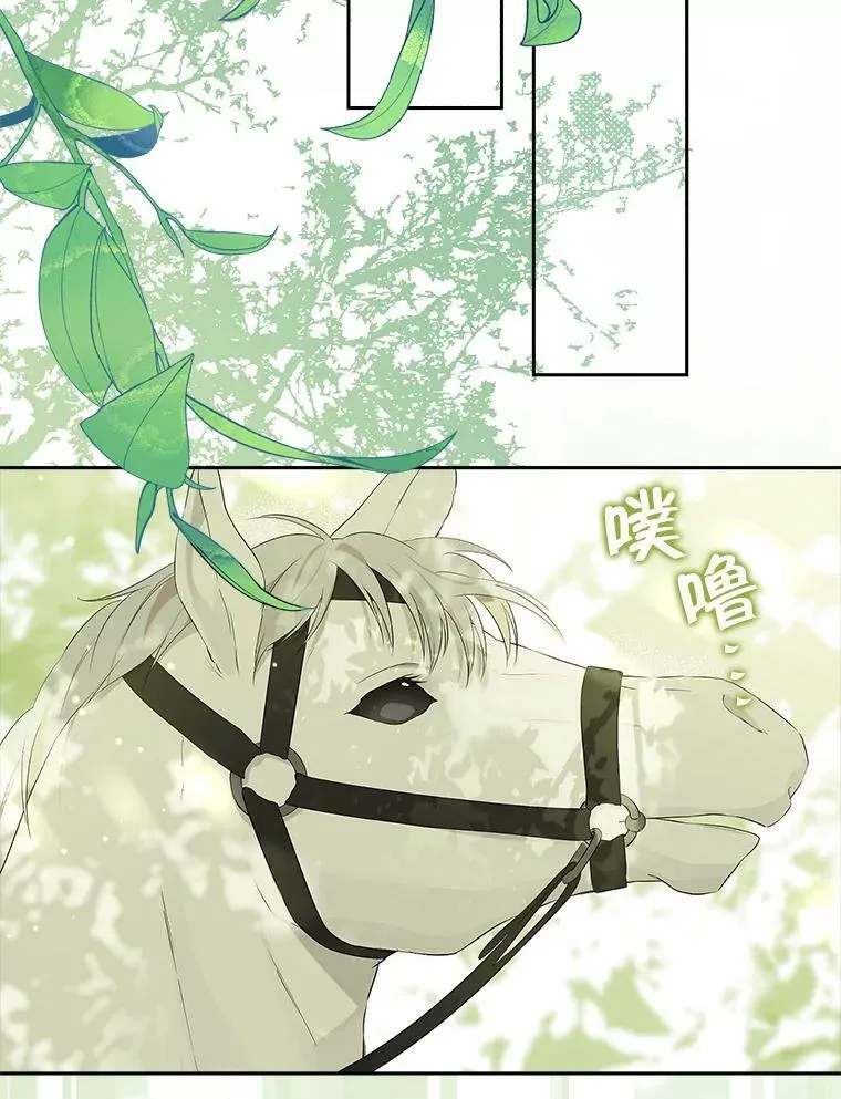 83.家族出行 第68页