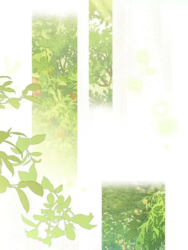 86.解围 第79页