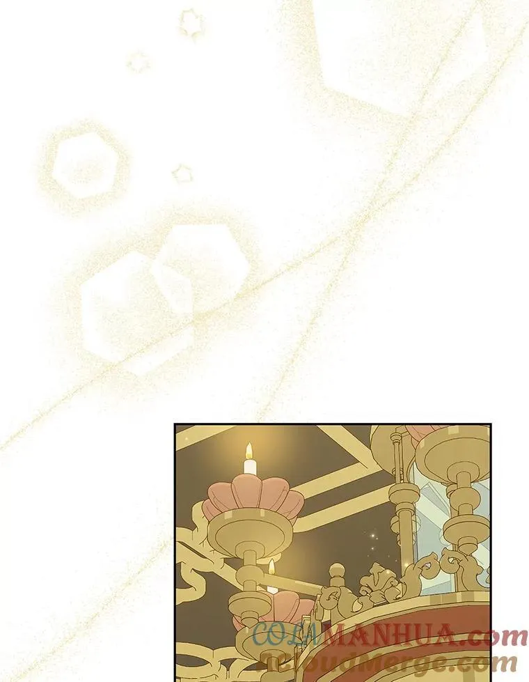 116.疑云漩涡 第101页