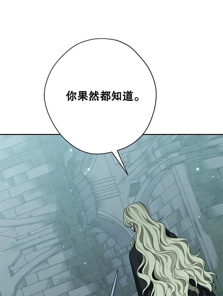 135.命悬一线 第91页