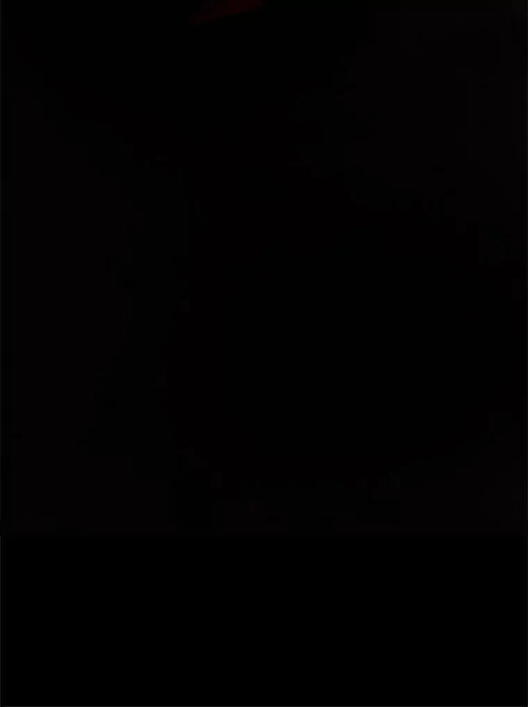 135.命悬一线 第175页