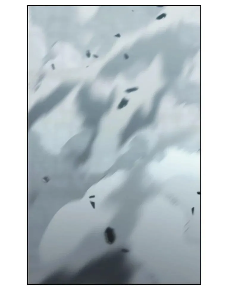 137.两个灵魂 第91页