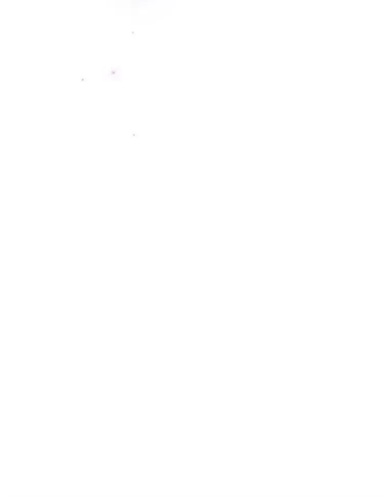 142.代价 第142页