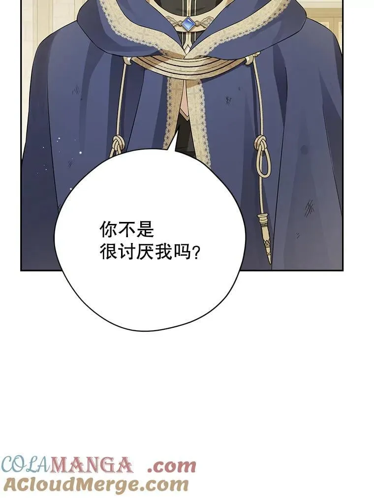 146.愿望已实现 第13页