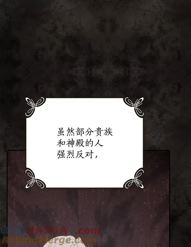 147.和平协定 第29页