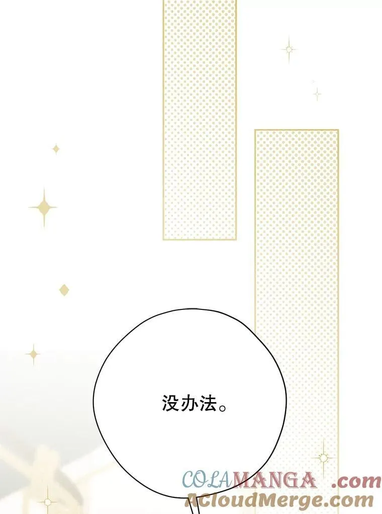 147.和平协定 第37页