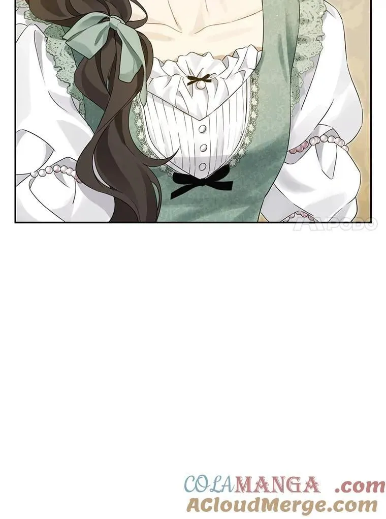 147.和平协定 第41页