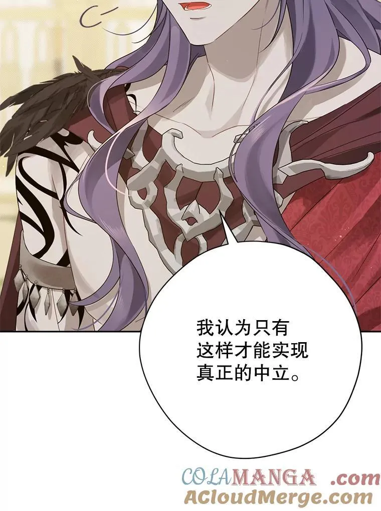 147.和平协定 第45页