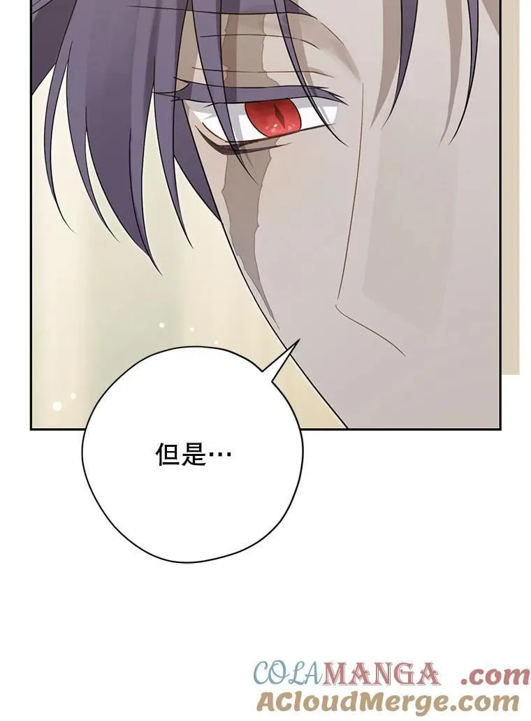 147.和平协定 第49页