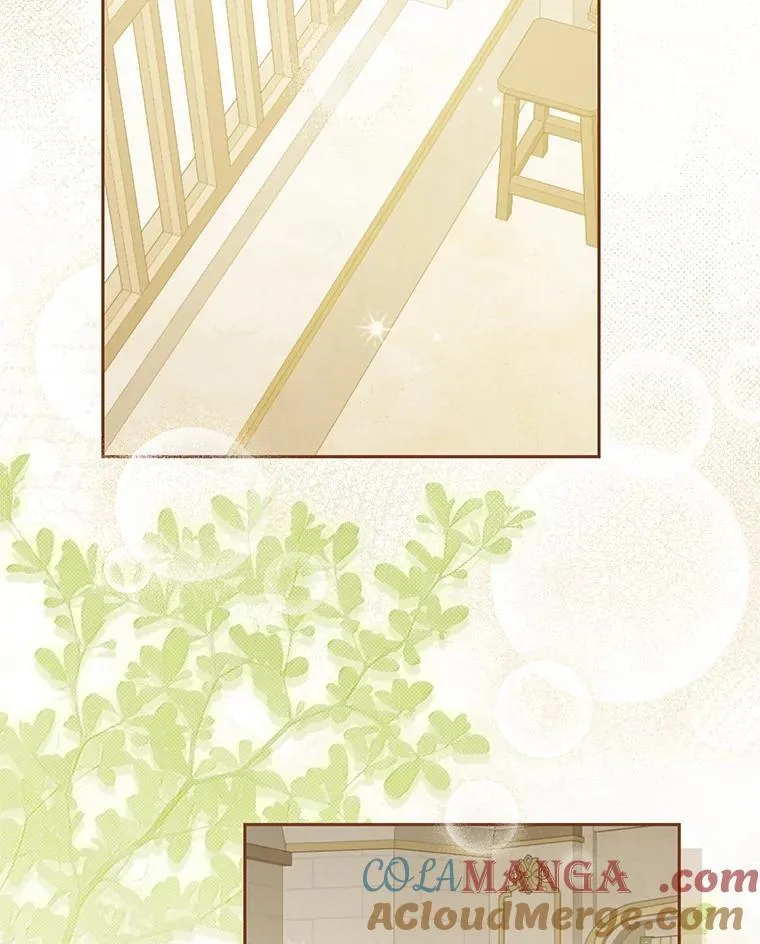 147.和平协定 第97页