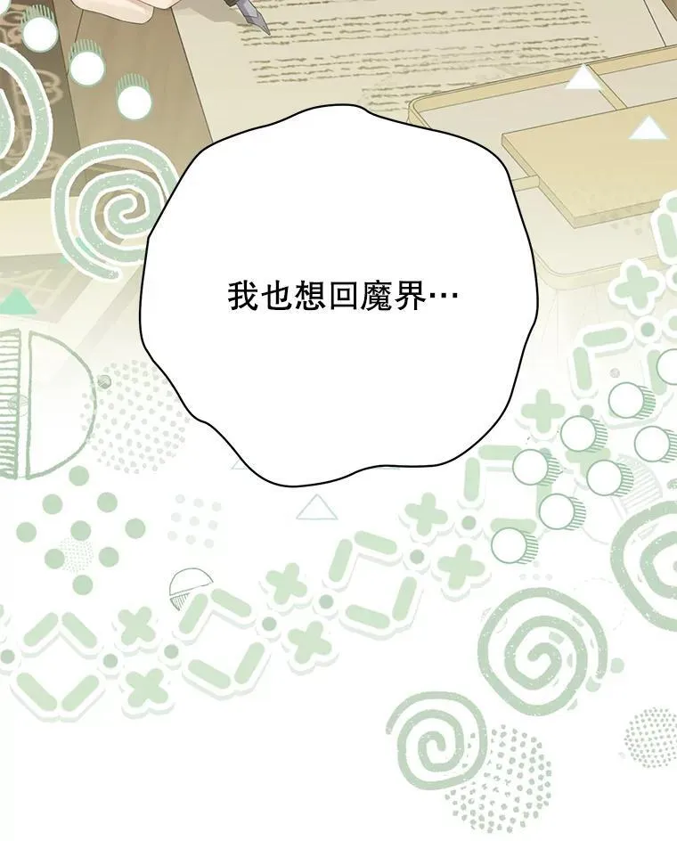 147.和平协定 第102页