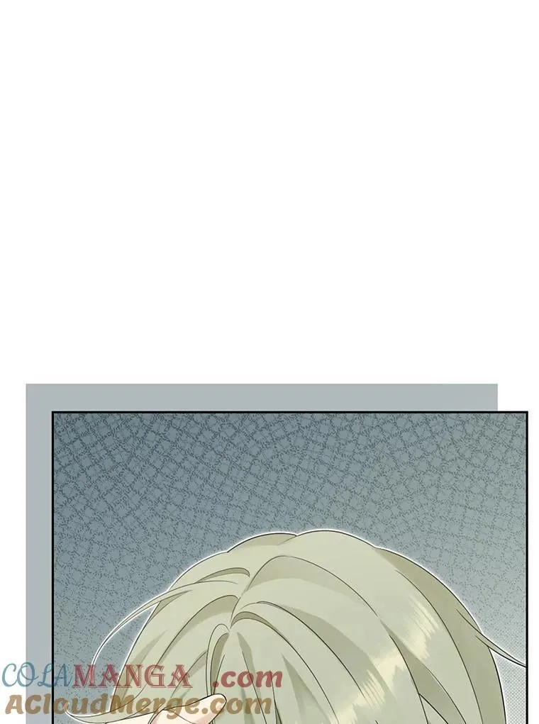 147.和平协定 第129页
