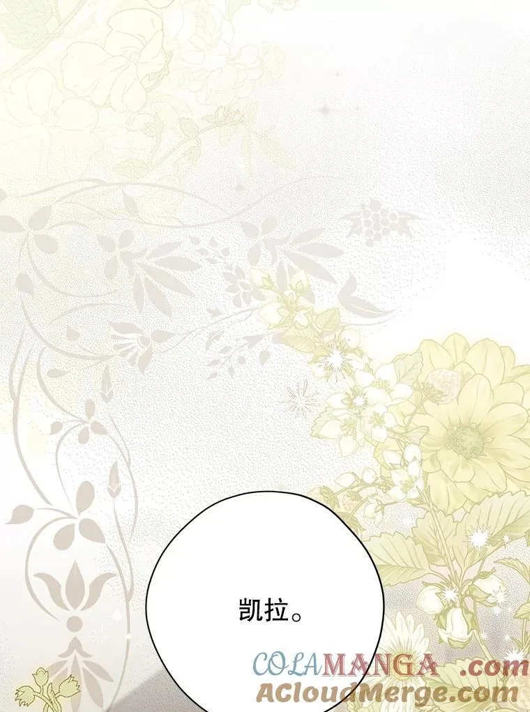 147.和平协定 第137页