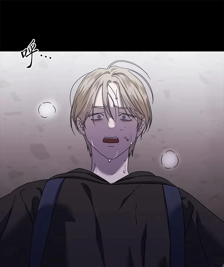 34.苍白的解释（84P） 第13页