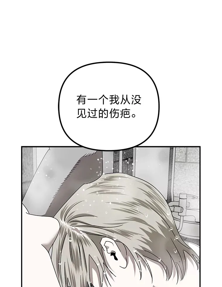 34.苍白的解释（84P） 第76页