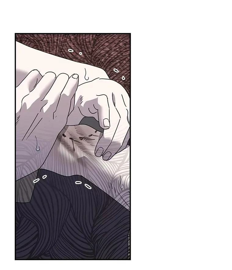 45.破灭的最后希望 第53页