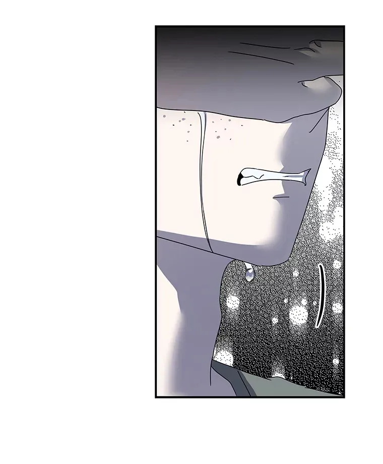50.亲手了结一切 第51页