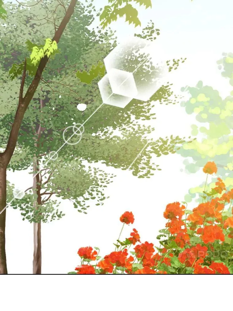 11.坠马事件 第14页