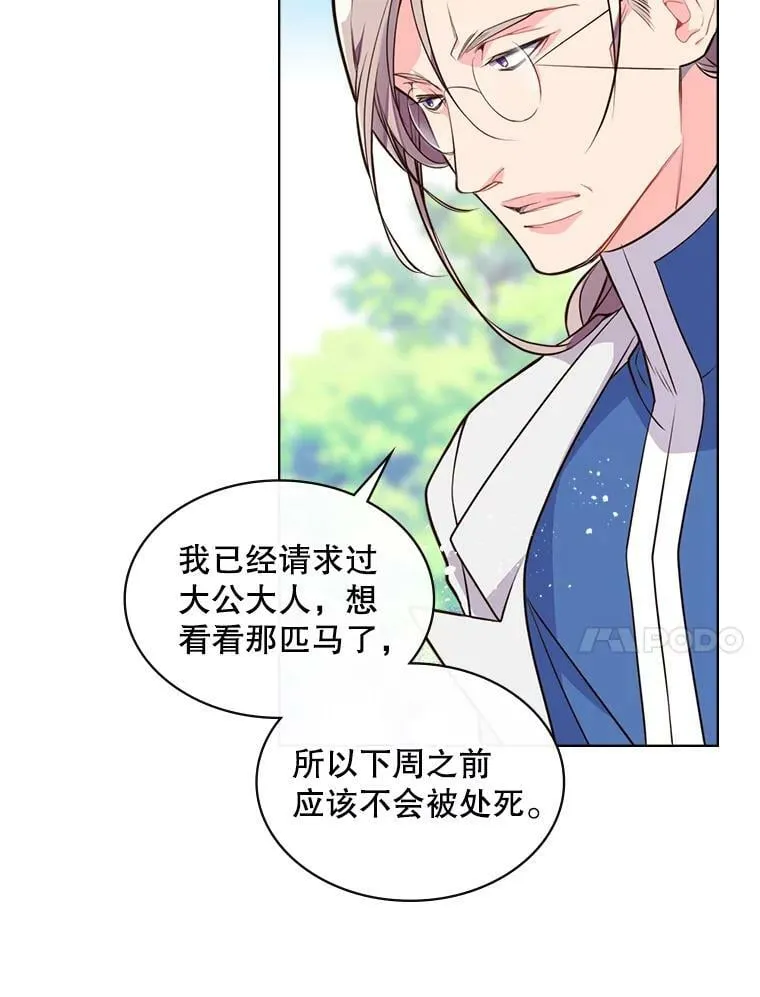 11.坠马事件 第24页