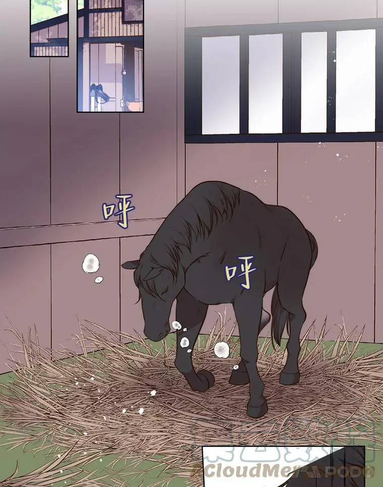 11.坠马事件 第28页