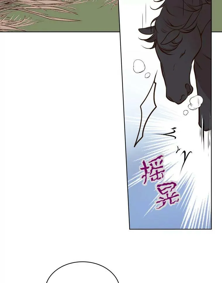 11.坠马事件 第29页