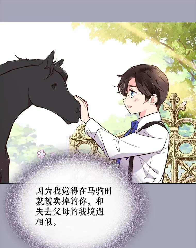 11.坠马事件 第35页