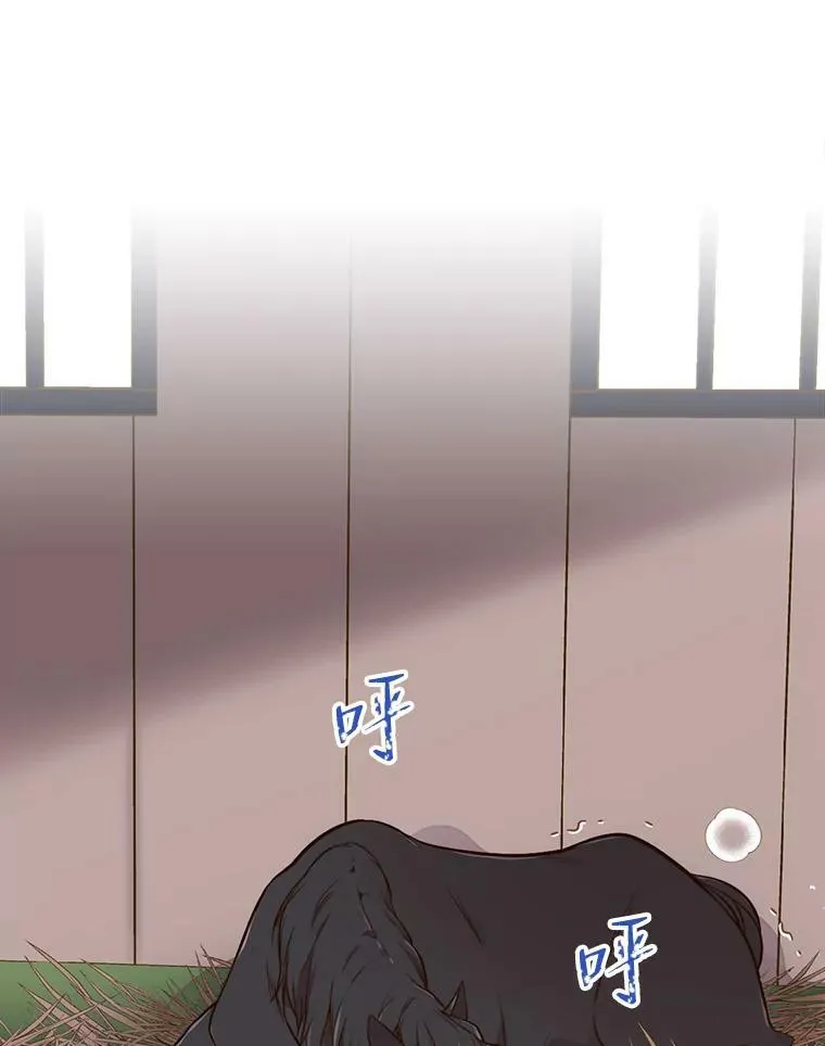 11.坠马事件 第50页