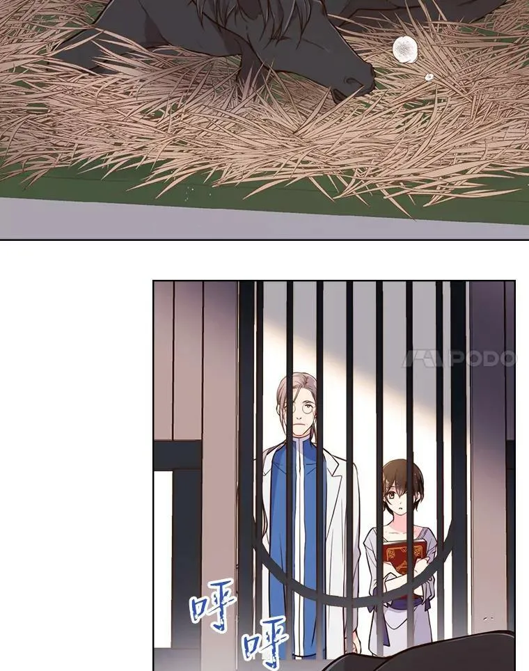 11.坠马事件 第51页