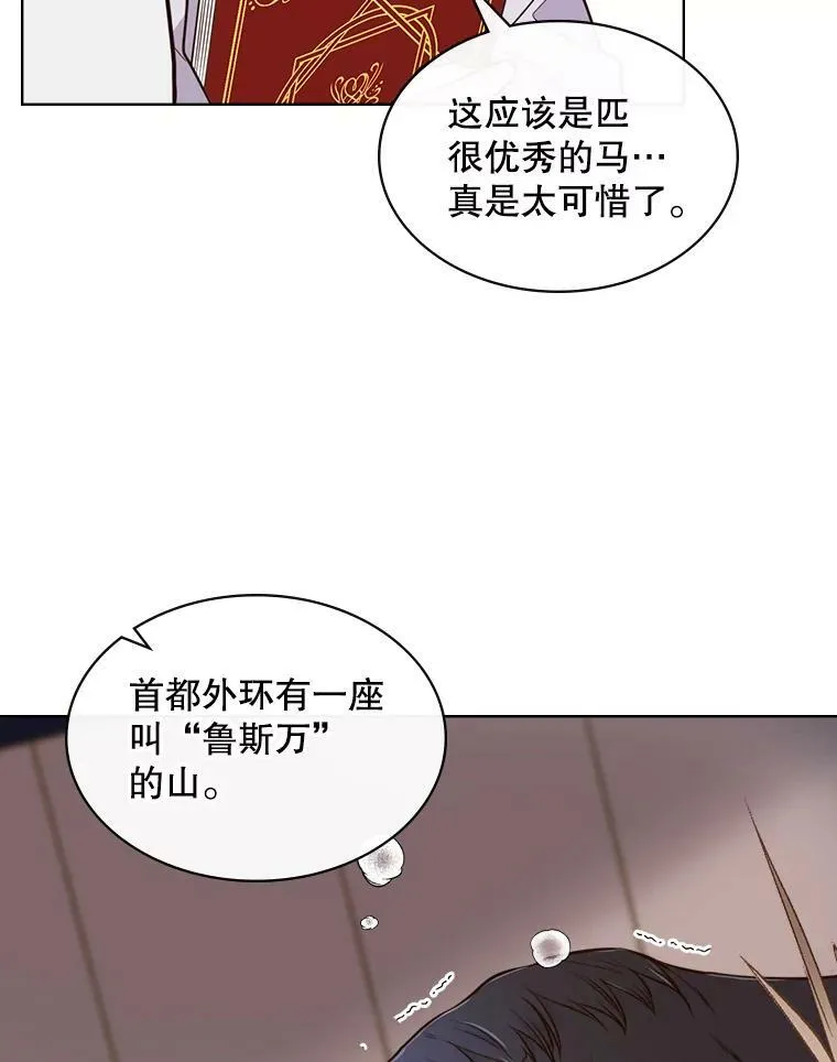 11.坠马事件 第53页