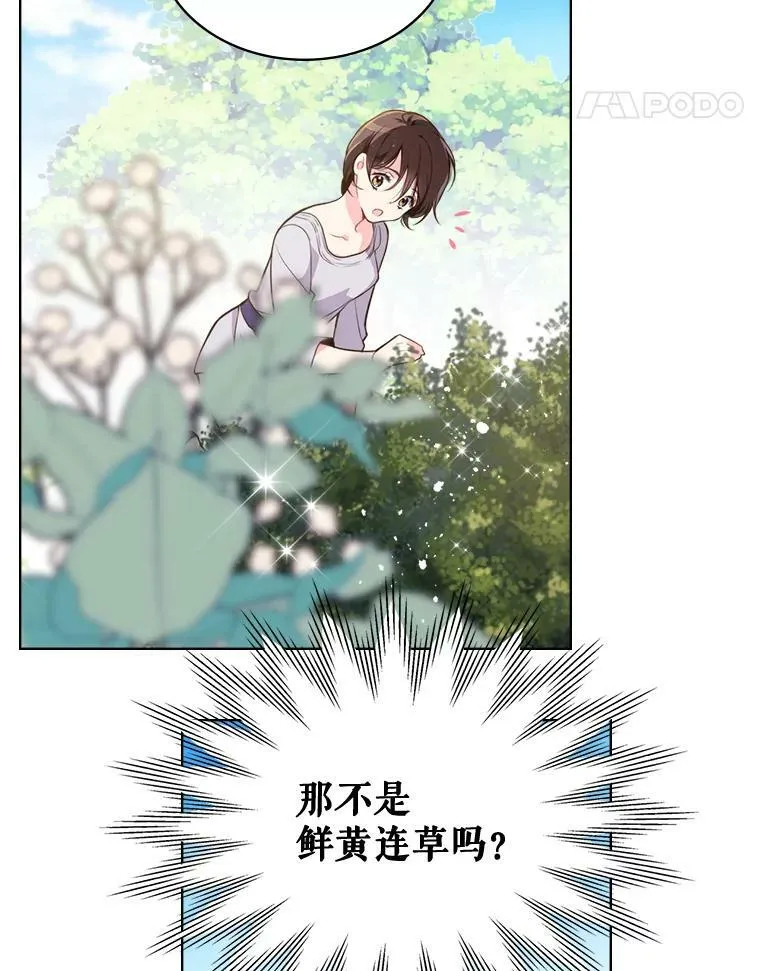 12.采草药的小姑娘 第15页