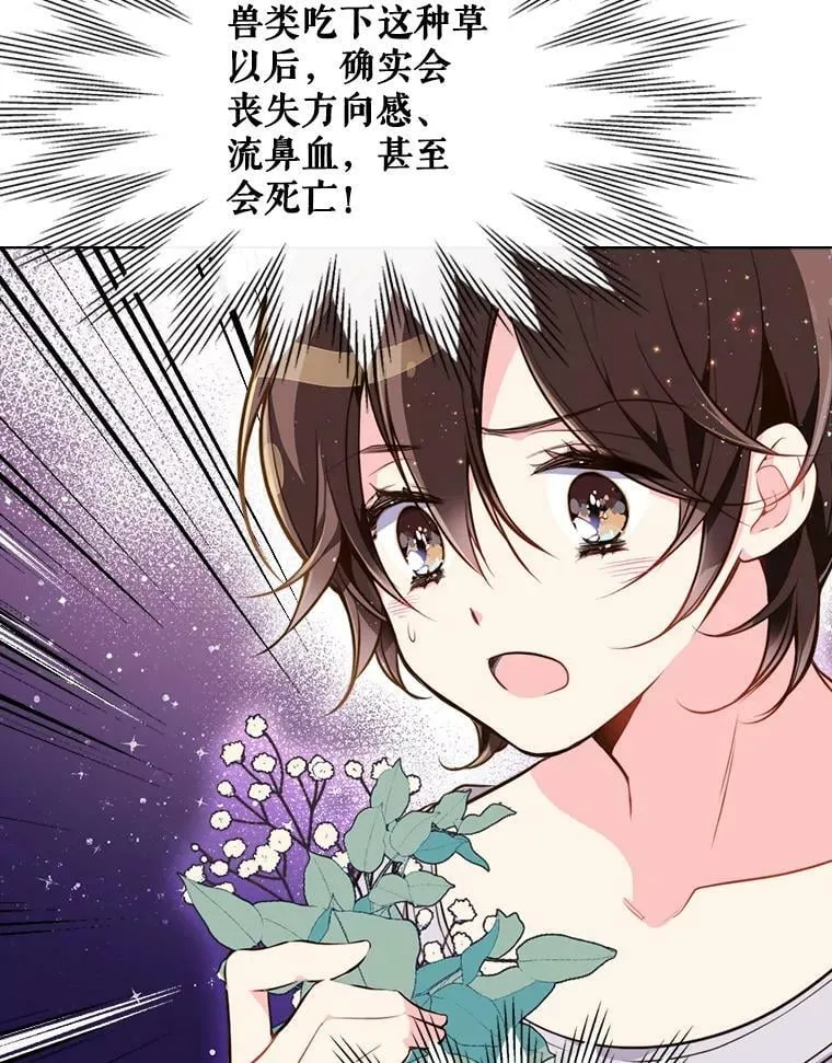 12.采草药的小姑娘 第17页