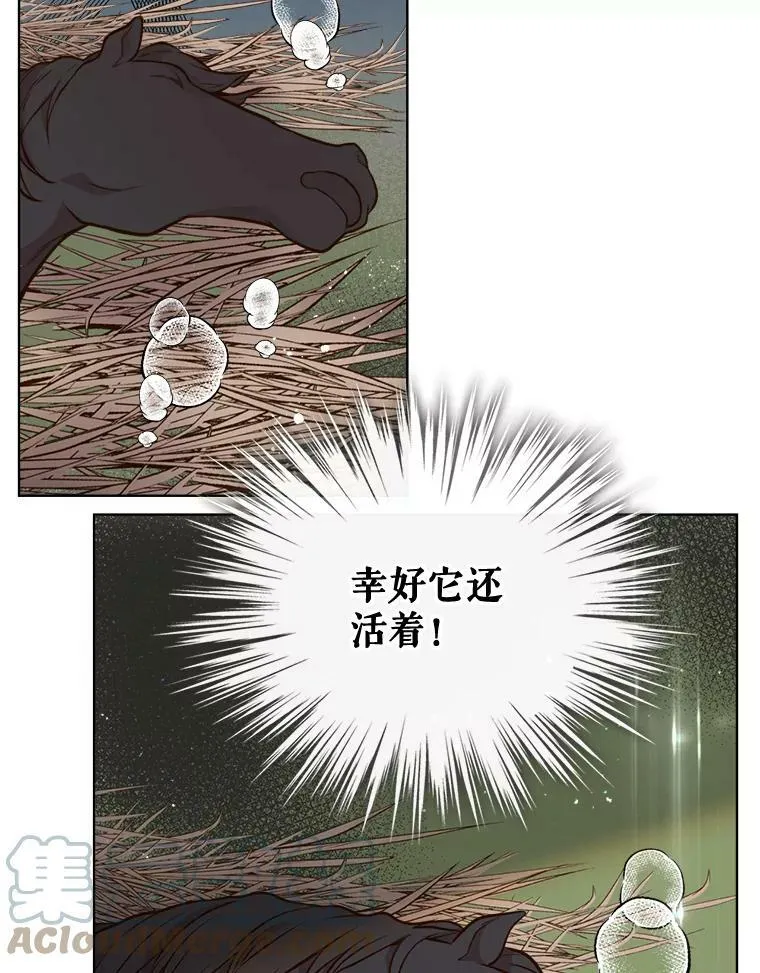 12.采草药的小姑娘 第55页
