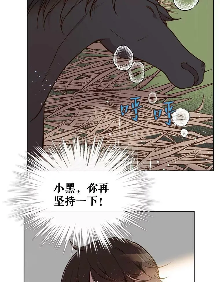 12.采草药的小姑娘 第56页