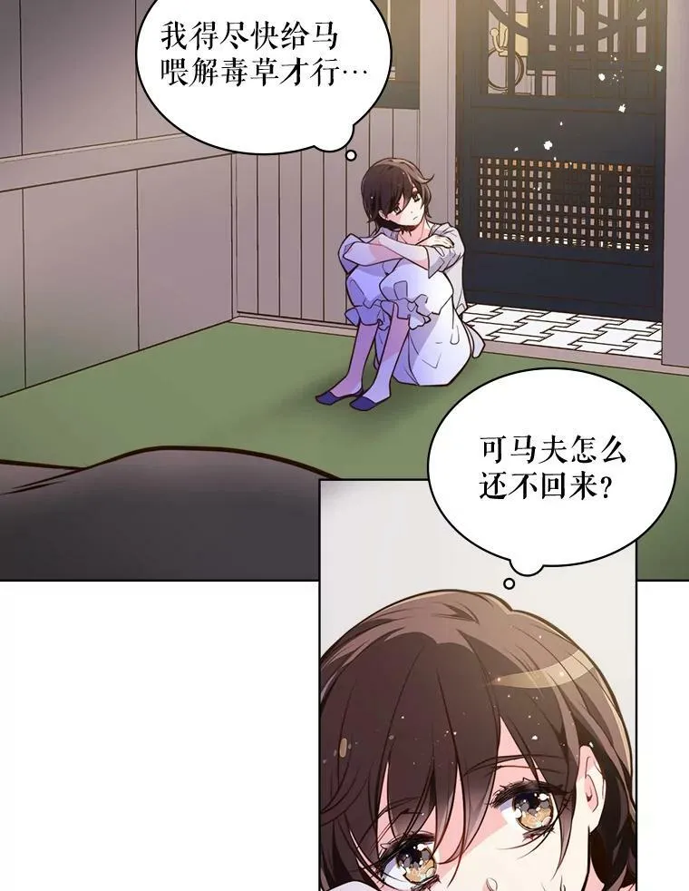 13.治疗小黑 第8页