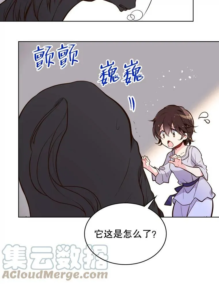 13.治疗小黑 第10页