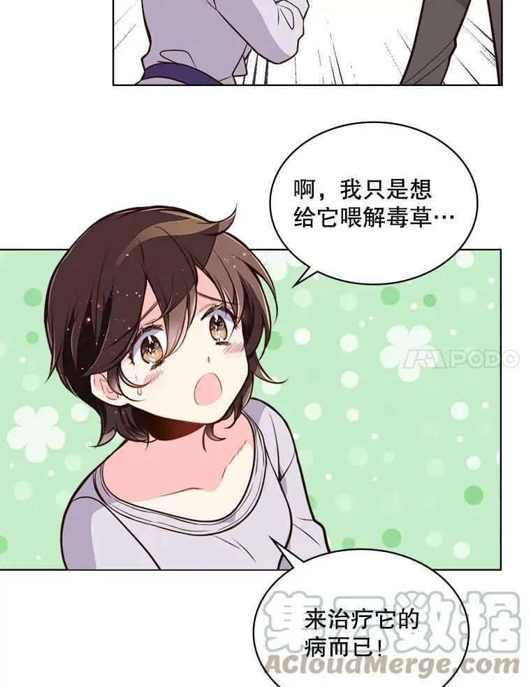 13.治疗小黑 第25页