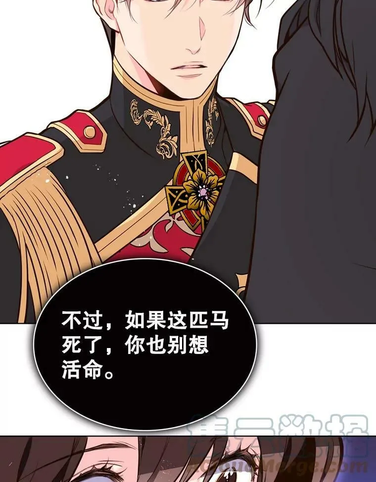 13.治疗小黑 第40页