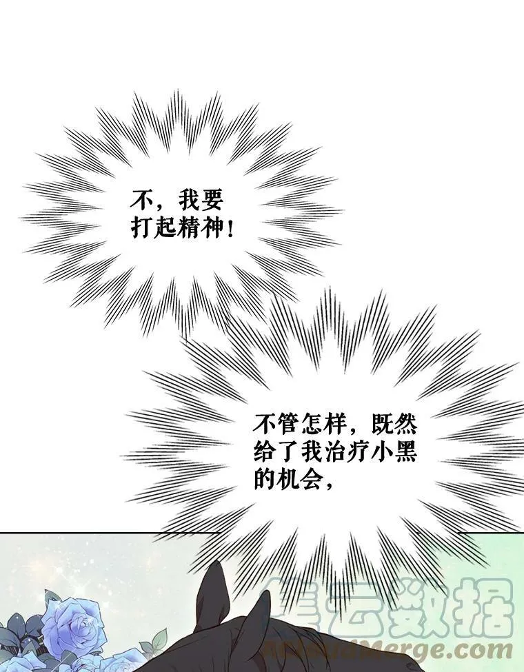13.治疗小黑 第43页