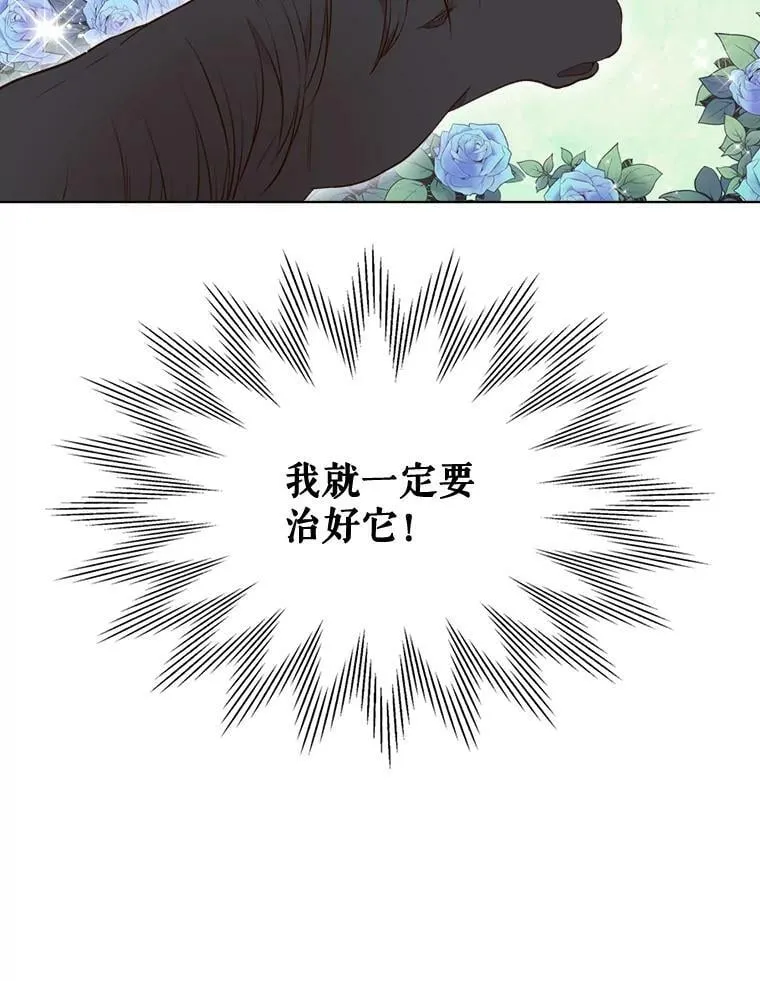 13.治疗小黑 第44页
