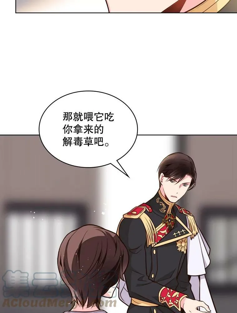 13.治疗小黑 第46页