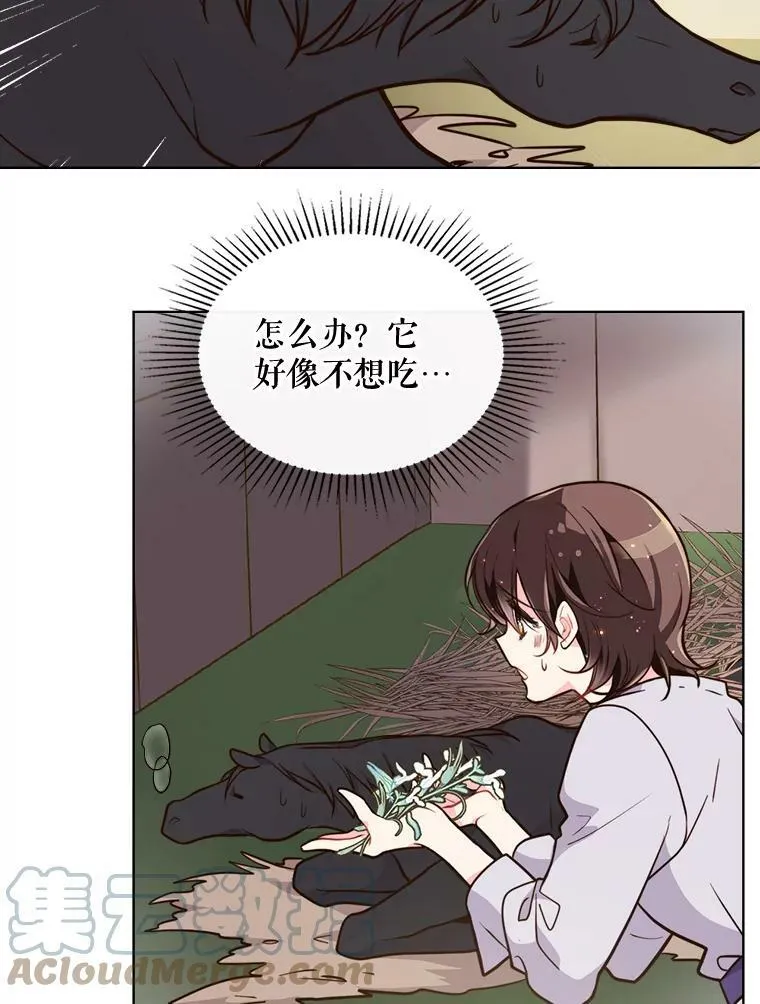 14.订婚 第4页