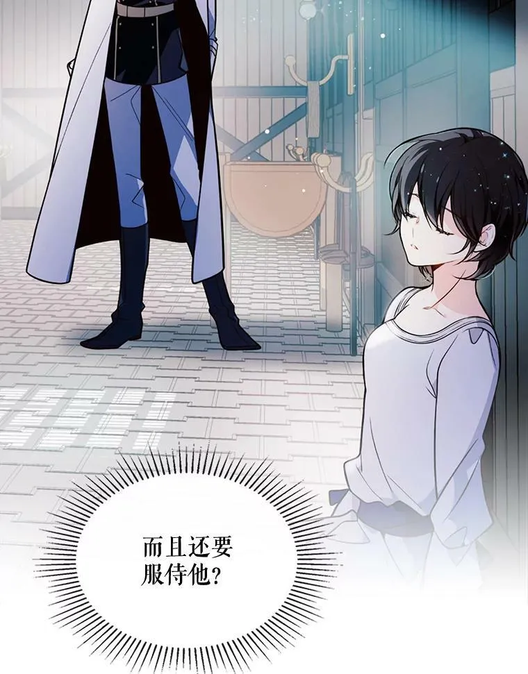 21.侍女 第27页