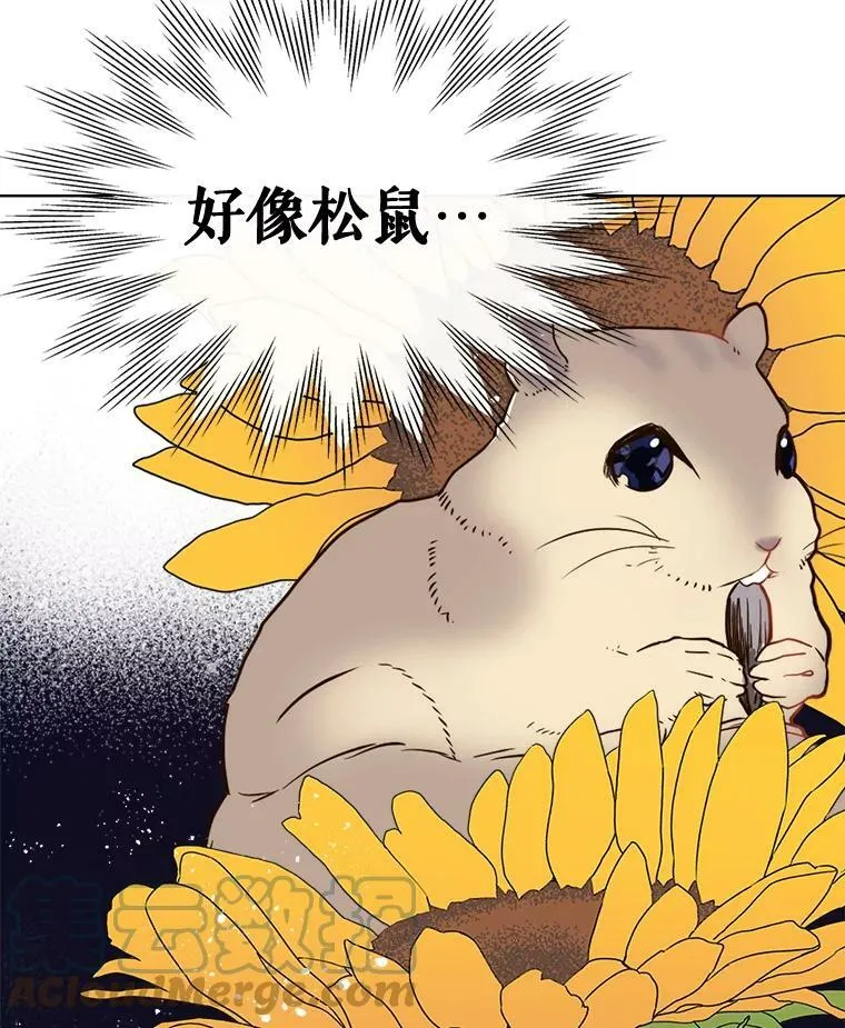 28.俊俏的男孩子 第13页
